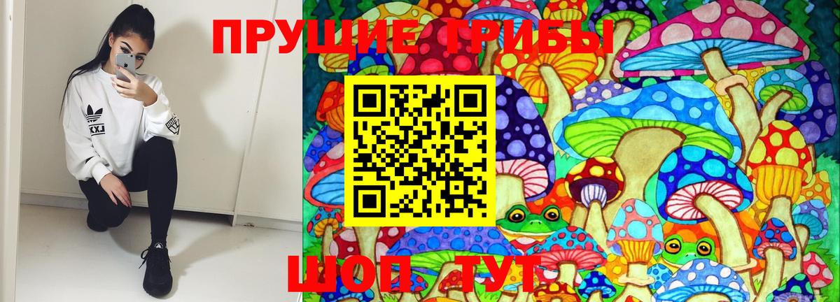 Псилоцибиновые грибы Psilocybine cubensis Жигулёвск