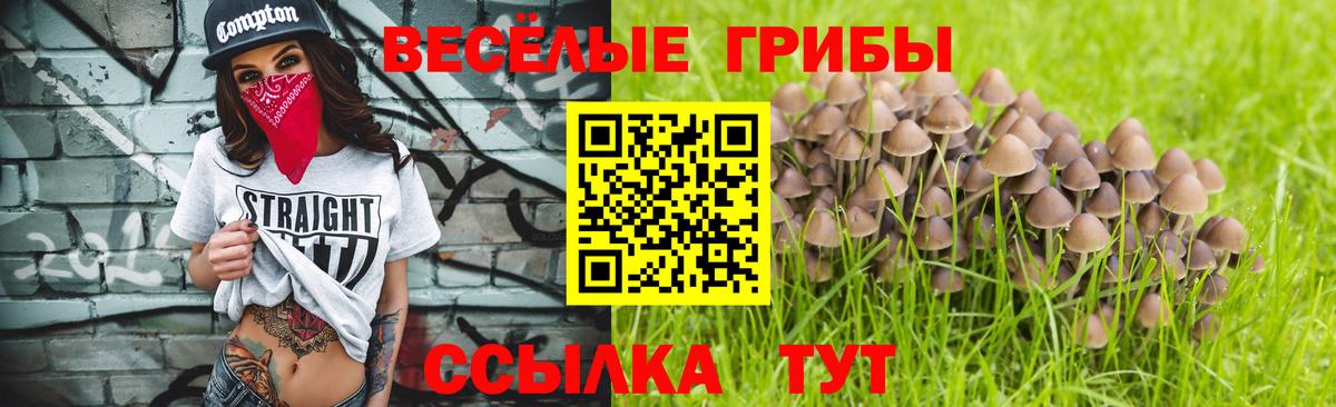 Псилоцибиновые грибы Cubensis  хочу   Жигулёвск  Галлюциногенные грибы MAGIC MUSHROOMS  Вход с VPN 